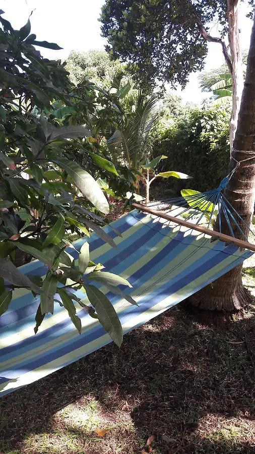 דירות גרוס איילט Palm View By Rodney Bay Marina
