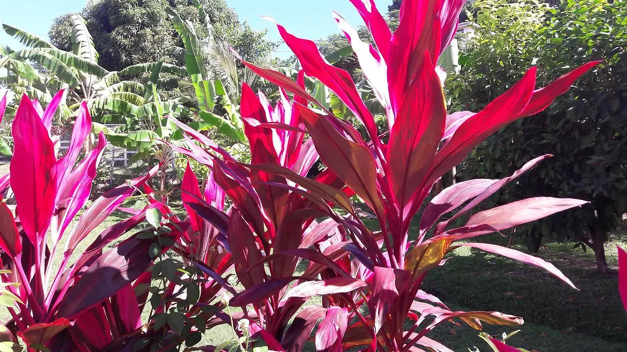 Palm View By Rodney Bay Marina Appartement Gros-Islet