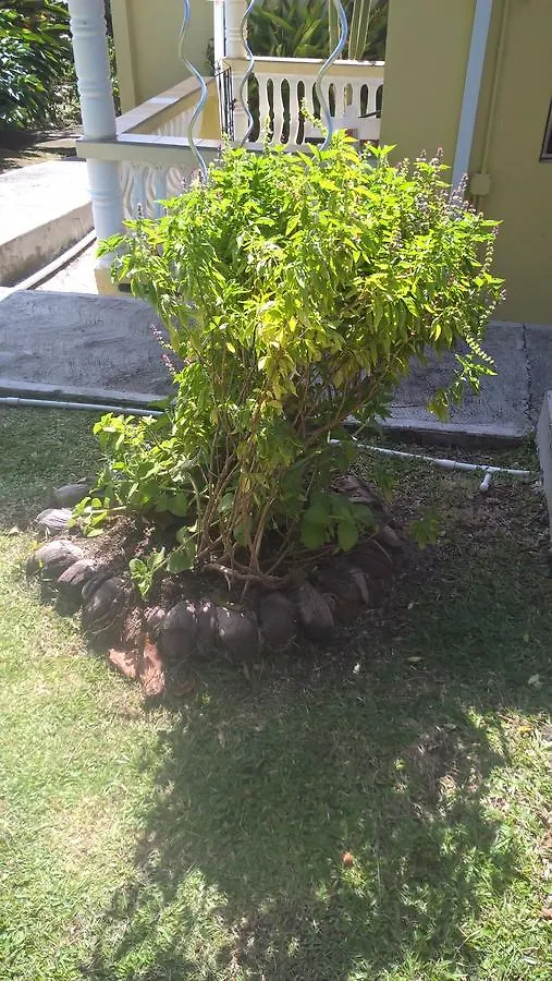 Palm View By Rodney Bay Marina Appartement Gros-Islet 0*,