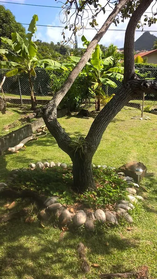 Palm View By Rodney Bay Marina Appartement Gros-Islet